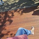 11680-152-109외 | [봄핑크 명품백 추천-샤넬 클래식 미듐 핑크 ] [사이즈,컬러 추천까지 ][2026샤넬 신상,가격]