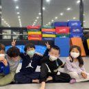 코리아태권도장 이미지