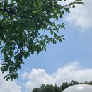 강남-028 | 강화 옥토끼우주센터 수영장 식당 두돌아기 전시 후기