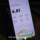 서니네집 | 나의 마라톤 첫도전, 2025 꽈자런 10km 완주 후기
