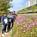 명태덕장 이미지