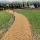 눈길등산로 이미지