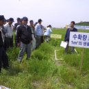헤어리온