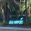 코쿤애월 | 제주 애월 흑돼지 맛집 삼육공 본점 환승연애 출연 맛집 애월 코쿤호텔 근처 흑돼지 집 내돈내산 후기