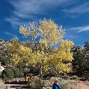 24.10.24 Escalante Petrified Forest State Park 이미지