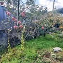 한그루공인중개사사무소 이미지