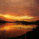 정들고펜션 이미지