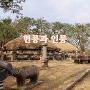 서울 헌릉과 인릉 | 서울 헌릉과 인릉 헌인릉 산책 코스 후기