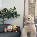 솔브레드 이미지