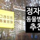 그레이트 동물병원 이미지