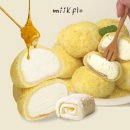 미크플로 이미지