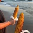 키미스 키친 | 발리 신혼여행(5) 아야나리조트/아메티스풀빌라/마사지/사리키친/짱구비치