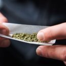 Cannabis en France : un parfum de légalisation ? 이미지