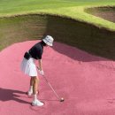 골미사 | 7월, 킹스데일cc 후기 (충북 충주ㅣ핑크하트벙커 골프장💗 관리상태 굿 레이디우대 굿 )