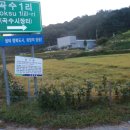 아침들녘 이미지