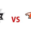 다지구장 이미지