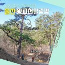 왕피천힐링팜