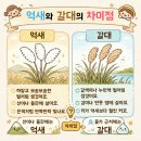 율하체육공원 테니스장 내 | 겨울에도 산책하기 좋은 대구 율하체육공원 억새군란지