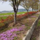 근화농장 이미지