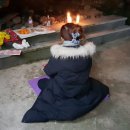 경기도 수원시 팔달구 세지로399번길 네이버블로그