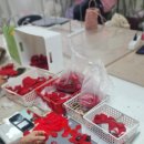 리멤버런스 이미지