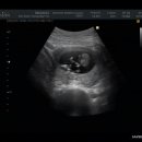 알메디파크 이미지