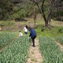 마근담마을 이미지