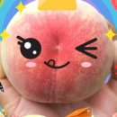 도도농장 이미지