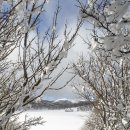 사라의 정원 이미지