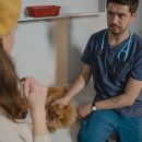 준 동물병원 이미지