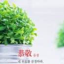 공경 티스토리
