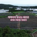 태양광 발전시설 부지조성 이미지