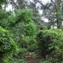 제주 올레길 6코스 이미지