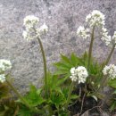 하남면사무소 이미지