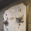 신사세탁 | 큰 컵 웨딩 누브라 정품 살롱드엑사 방문 후기 (내돈내산, 누브라 세탁, 입는 방법)
