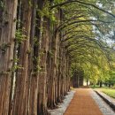 황등면-01 이미지