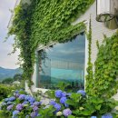 금성반점 이미지