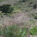 대기농촌체험마을 이미지