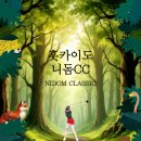 JPGA | 북해도 니돔CC 골프장 후기 자연 속 힐링 라운드 추천