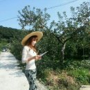 서씨농장 이미지