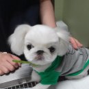 건국 동물병원 이미지
