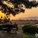 다대포해수욕장 이미지