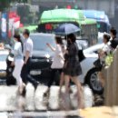 아지랑이 뉴스1
