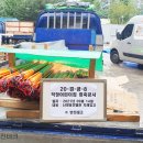 비성어린이집 네이버블로그