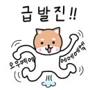 클린가드 이미지