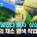 중국 채소 야채 불법 독성 염색 착색제 food color, food dyeing, 이미지