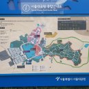 매봉산림욕장 Daum카페