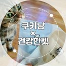 건강한 펫 이미지