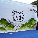 달마고도 이미지