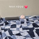 사계절컴퓨터세탁 | 집앤콕 메밀 경추베개 사용 후기, 거북목에 편안한 메밀베개